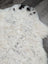 Large soft spotted icelandic sheepskin rug with white curly fur and black patches perfect for cozy decor