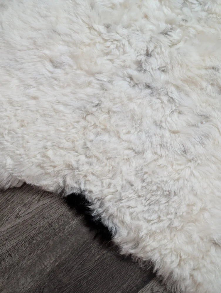 A plush off-white medium spotted icelandic sheepskin rug with soft curly texture and natural edges