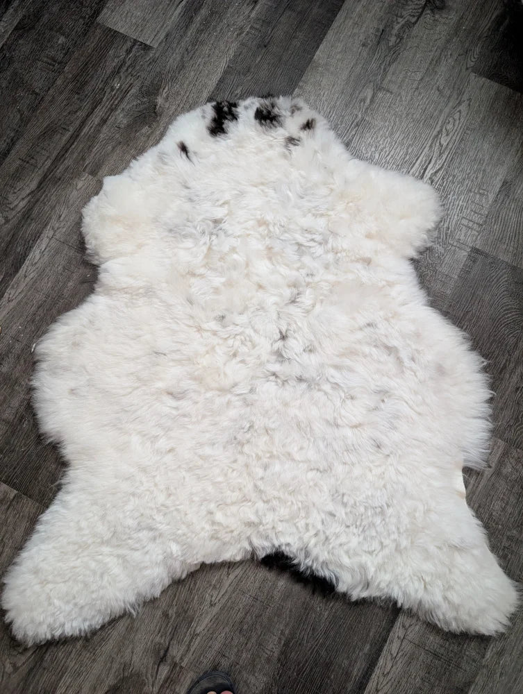 Large soft spotted icelandic sheepskin rug with white fluffy wool and natural black markings on head and shoulders