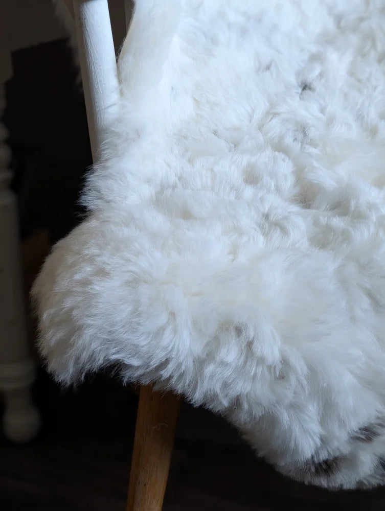Large soft spotted icelandic sheepskin chair cover in white fluffy medium spotted icelandic wool texture