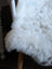 Large soft spotted icelandic sheepskin chair cover in white fluffy medium spotted icelandic wool texture