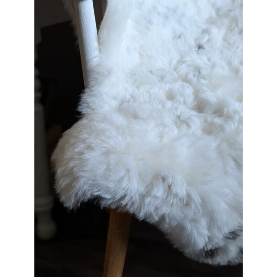 Large soft spotted icelandic sheepskin chair cover in white fluffy medium spotted icelandic wool texture