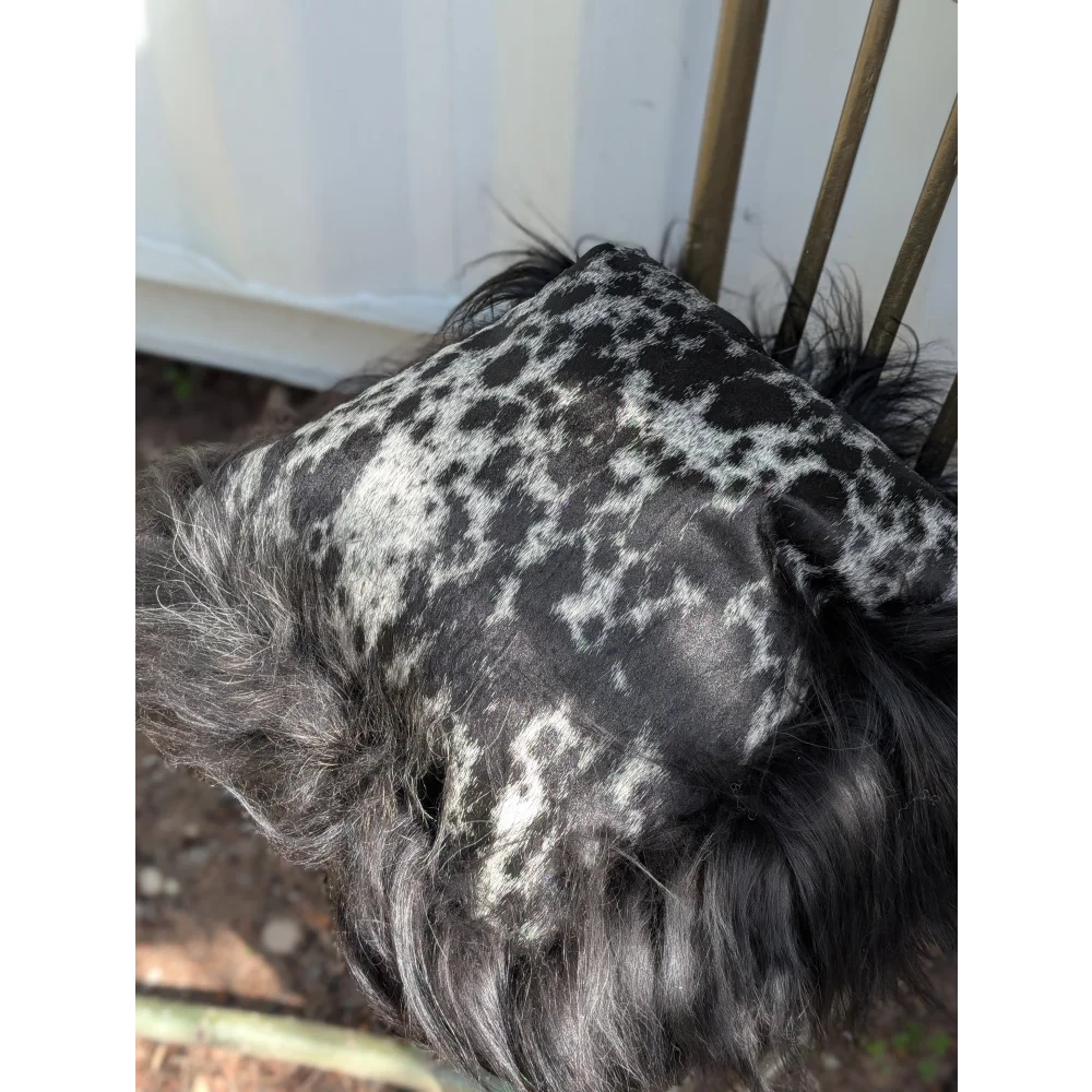 A plush black and white spotted icelandic sheepskin pillow with long wool and fringed edges perfect for cozy decor