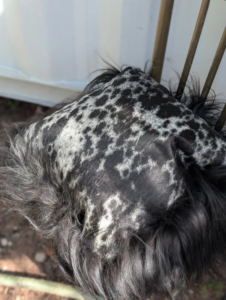 A plush black and white spotted icelandic sheepskin pillow with long wool and fringed edges perfect for cozy decor