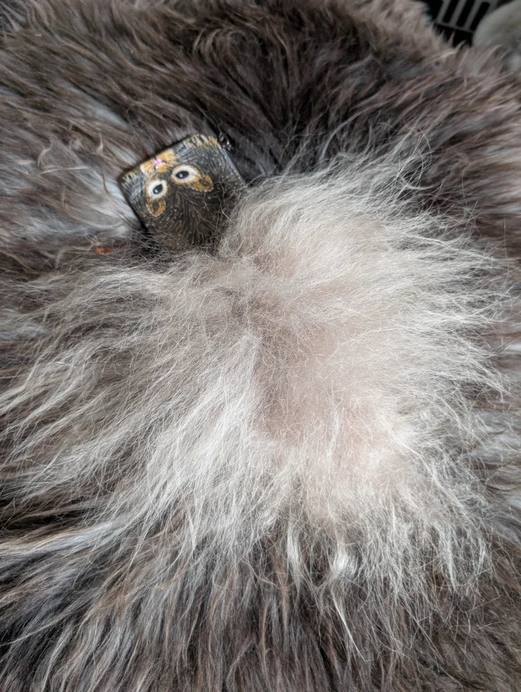 A small dark brown owl tag with white eyes and orange beak on a squirrel coin purse with cotton canvas and sheepskin tail