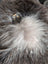 A small dark brown owl tag with white eyes and orange beak on a squirrel coin purse with cotton canvas and sheepskin tail