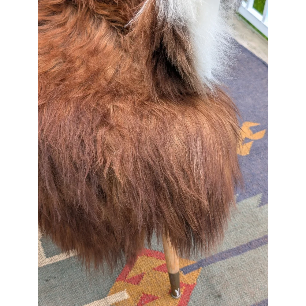A plush long wool icelandic brown and white sheepskin rug draped over a wooden chair leg in extra large size