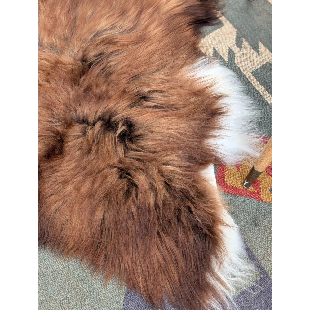A plush long wool icelandic sheepskin rug with natural brown and white fur measuring 50 x 39 inches