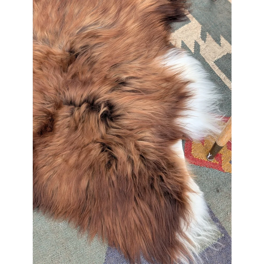 A plush long wool icelandic sheepskin rug with natural brown and white fur measuring 50 x 39 inches