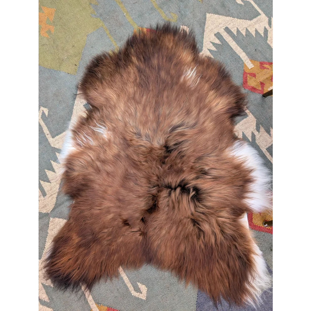 A plush 50 x 39 inch extra large icelandic sheepskin rug with natural brown and white long wool icelandic fur