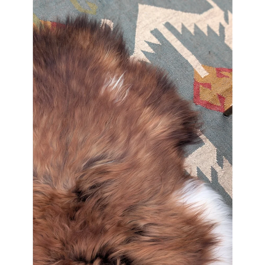 A plush brown extra large icelandic sheepskin rug with soft dense long wool icelandic texture and natural shade variations