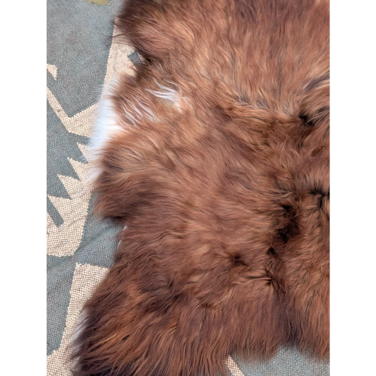 Extra large 50 x 39 brown icelandic sheepskin rug with soft dense wool icelandic fur and subtle white edges
