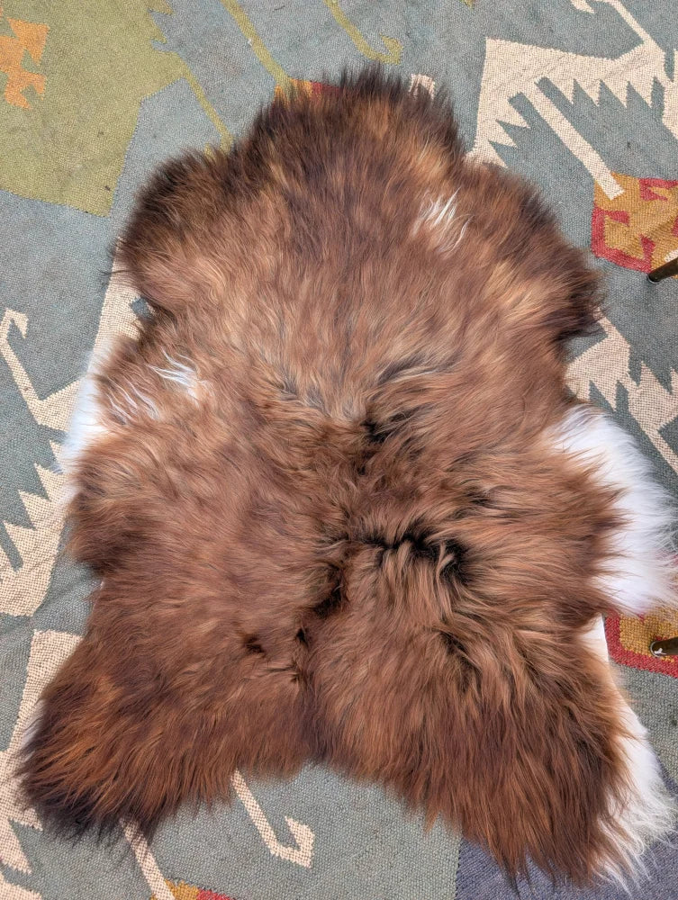 A plush 50 x 39 inch extra large icelandic sheepskin rug with natural brown and white long wool icelandic fur