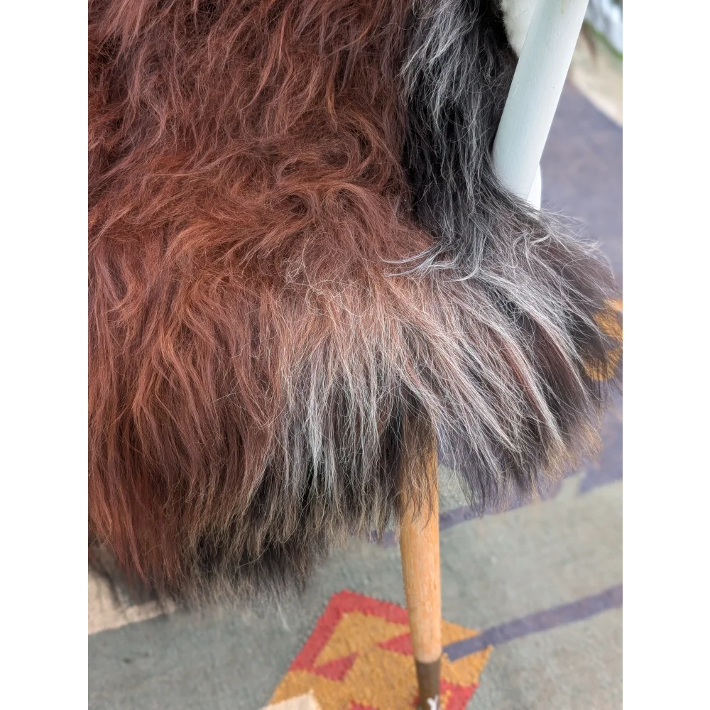 A plush 51 x 36 inch extra large icelandic sheepskin throw with long wool icelandic gradient brown to gray tones