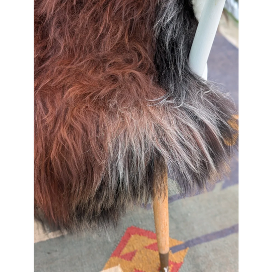 A plush 51 x 36 inch extra large icelandic sheepskin throw with long wool icelandic gradient brown to gray tones