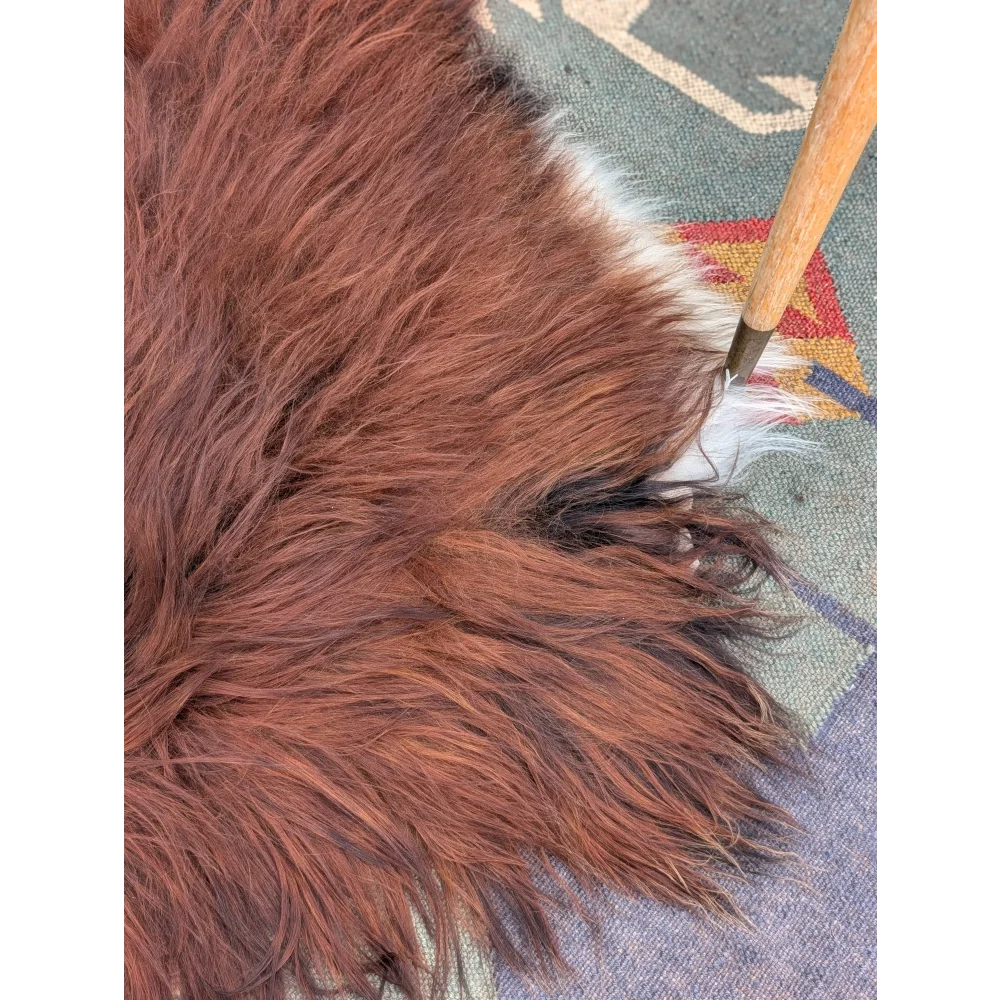 A plush reddish-brown icelandic sheepskin rug with long wool icelandic fibers and natural white tips, extra large 51x36 inches