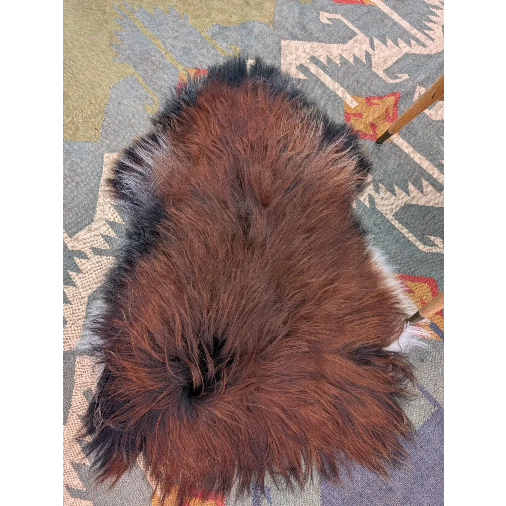 A plush extra large icelandic sheepskin rug with long wool icelandic fur in natural brown and black tones