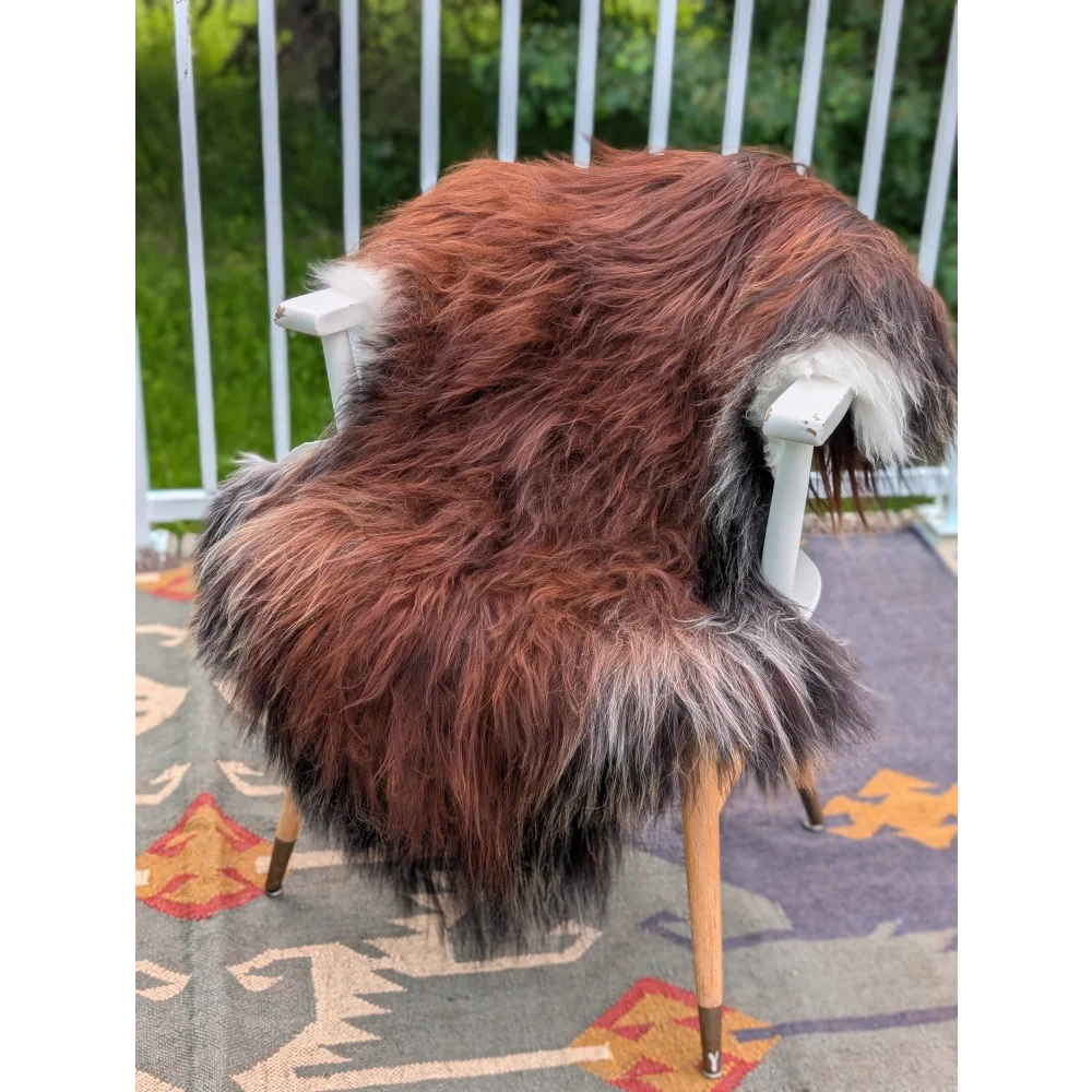 A plush extra large icelandic sheepskin rug with long wool icelandic fibers in brown to black gradient with white tips