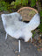 A soft wool icelandic sheepskin rug with dark edges in gray and white draped over a wicker chair
