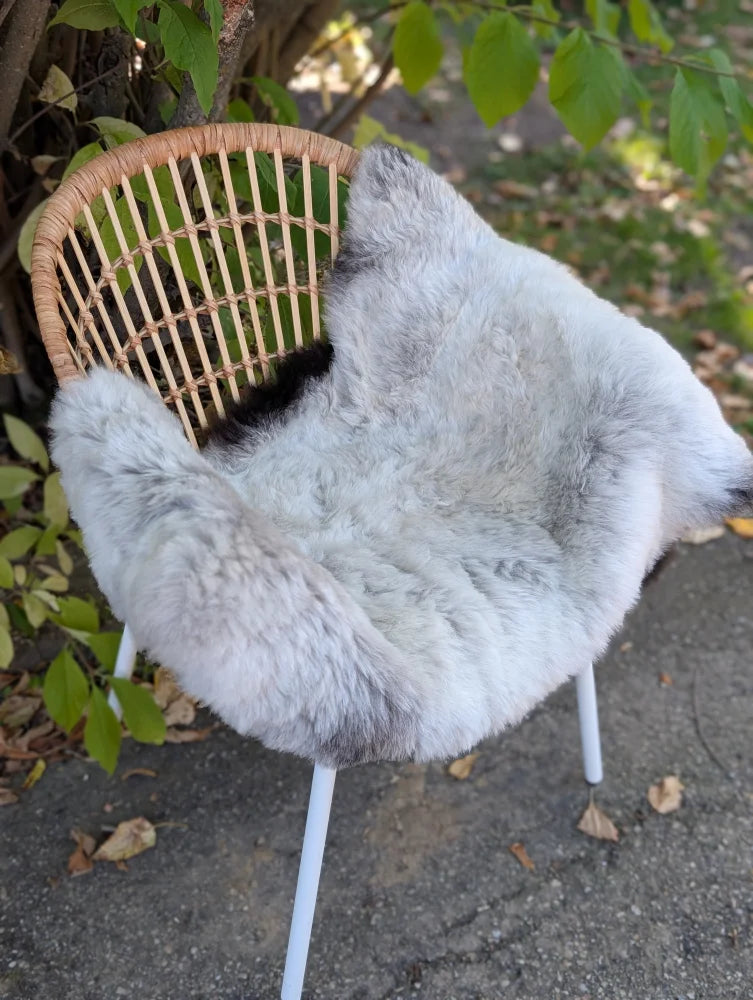 A soft wool icelandic sheepskin rug with dark edges draped over a wicker chair with white metal legs