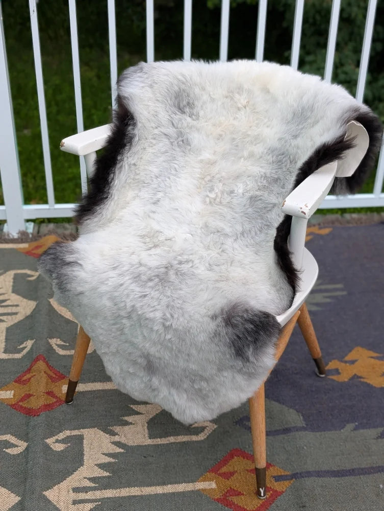 A large icelandic sheepskin rug with long wool in soft white and black draped over a modern angus oliver chair