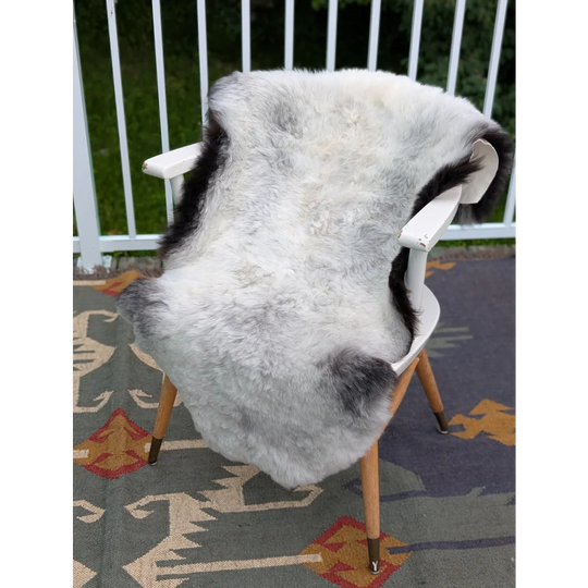 A large icelandic sheepskin rug with long wool in soft white and black draped over a modern angus oliver chair