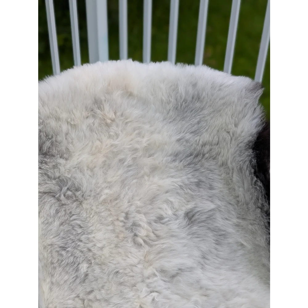 A large icelandic sheepskin rug with long wool and natural grayish tones by angus oliver soft and fluffy