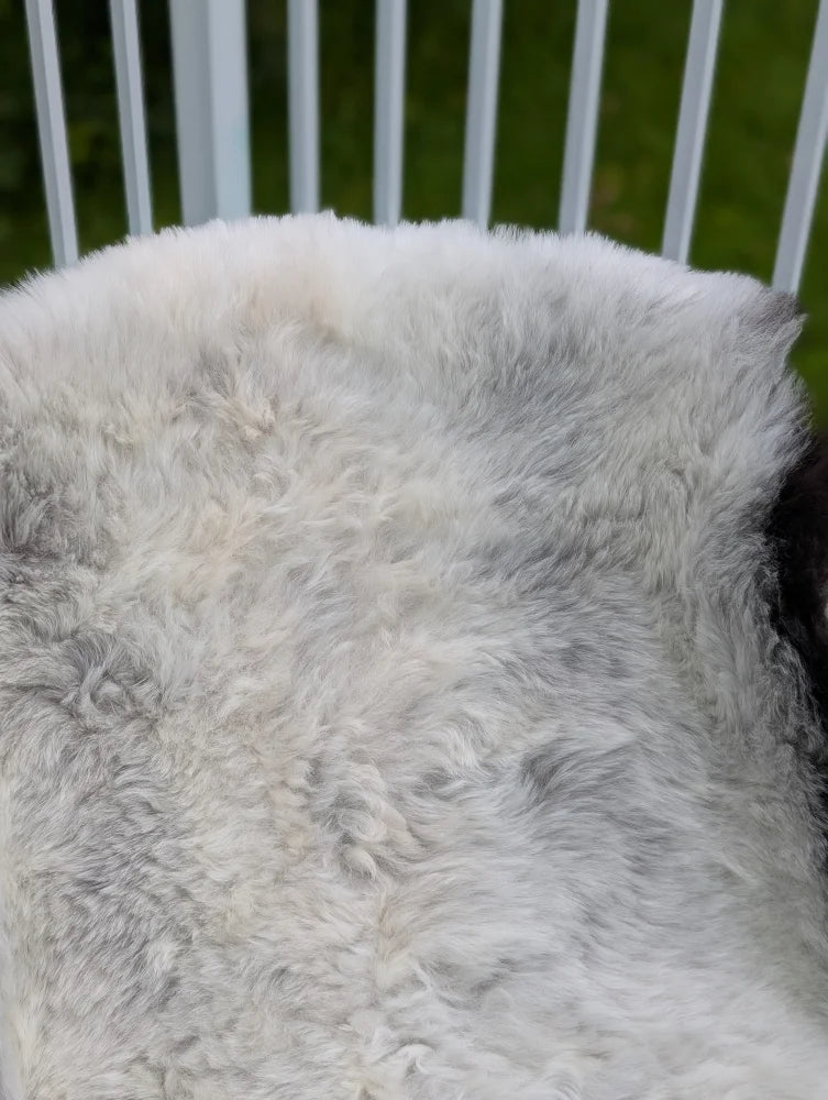 A large icelandic sheepskin rug with long wool and natural grayish tones by angus oliver soft and fluffy