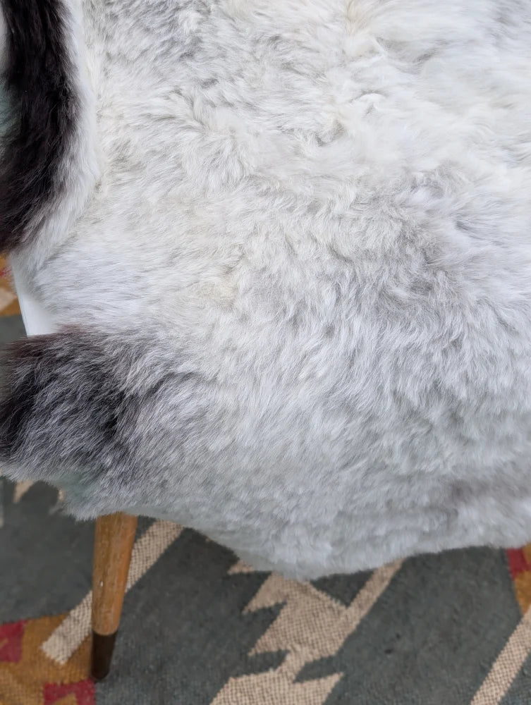 A plush gray and white icelandic sheepskin rug with long wool icelandic texture by angus oliver, 42 by 27 inches