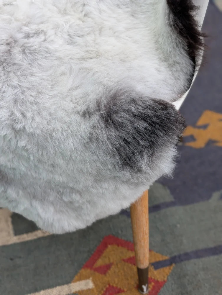 A plush white and gray long wool icelandic sheepskin throw draped over chair leg by angus oliver