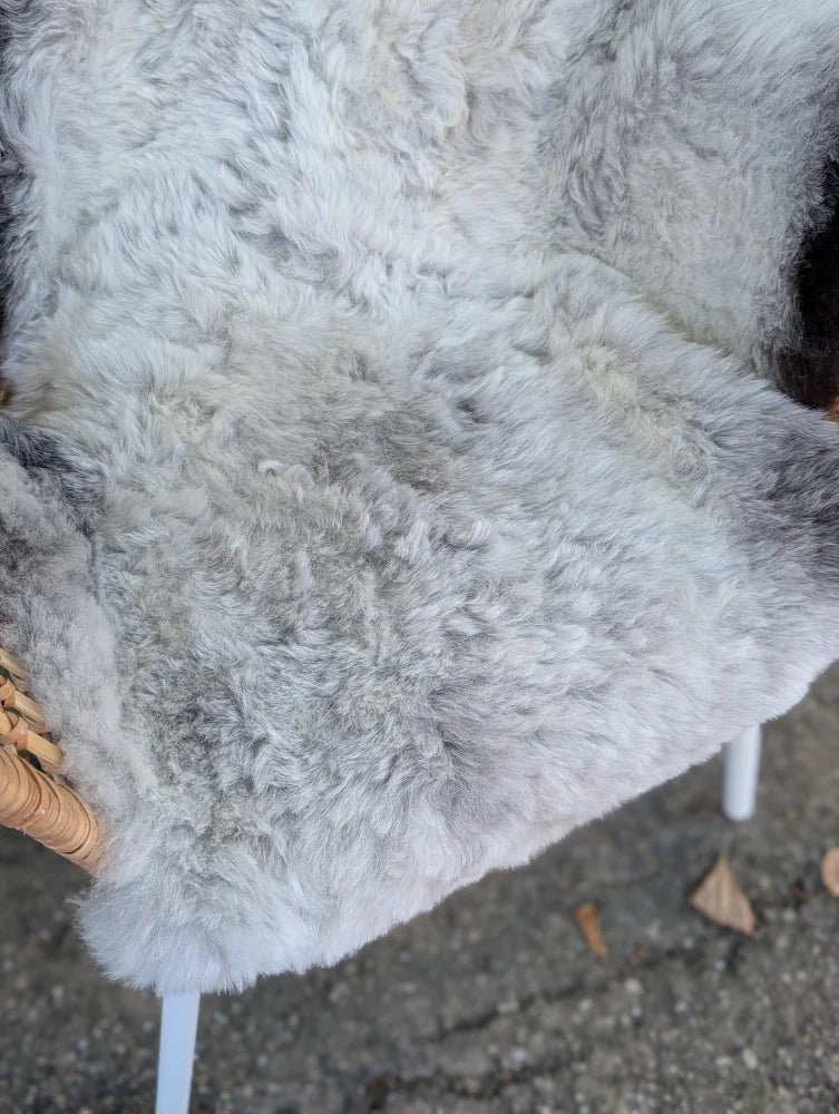 Large icelandic sheepskin rug in soft gray wool with natural texture and dark edges for cozy home decor