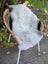 A soft wool icelandic sheepskin rug with dark edges draped over a wicker chair with white metal legs