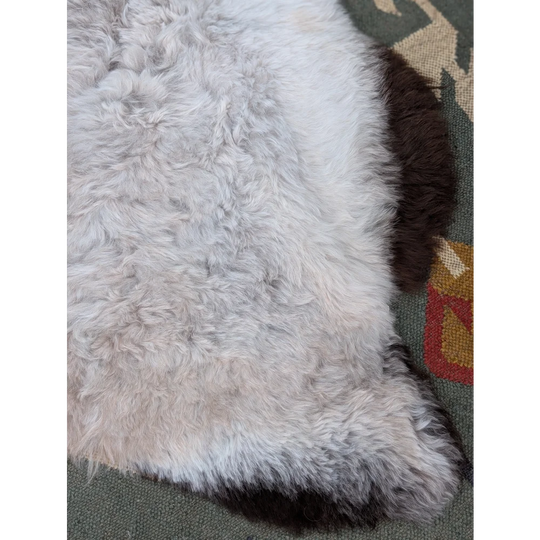 A soft fluffy white icelandic sheepskin rug with a dark brown border from angus oliver long wool icelandic collection