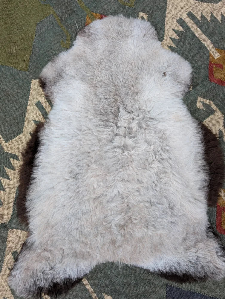 A soft light gray icelandic sheepskin rug with long wool and darker brown edges by angus oliver