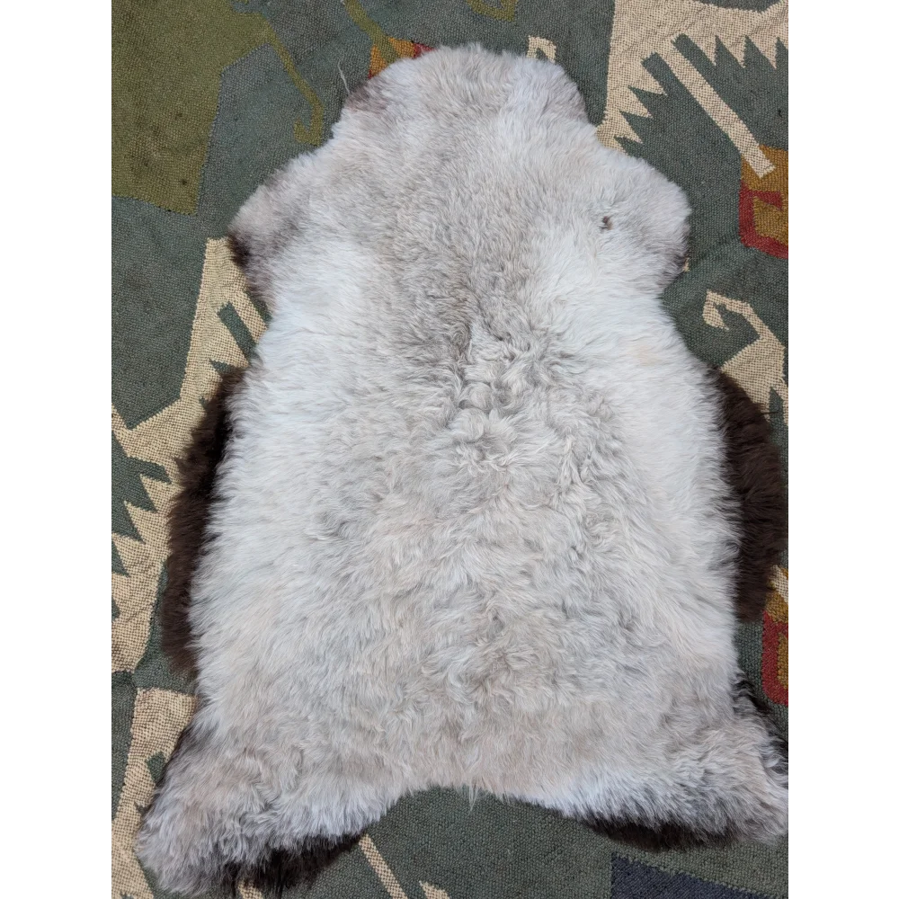 A soft light gray icelandic sheepskin rug with long wool and darker brown edges by angus oliver
