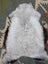 A soft light gray icelandic sheepskin rug with long wool and darker brown edges by angus oliver