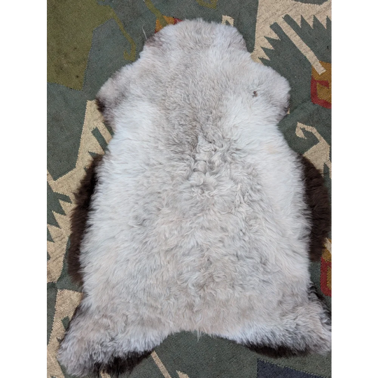 A soft light gray icelandic sheepskin rug with long wool and darker brown edges by angus oliver