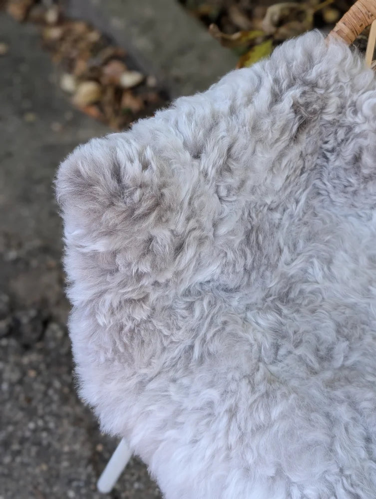 A large 43 x 35 gray long wool icelandic sheepskin rug draped over a wicker chair for cozy decor