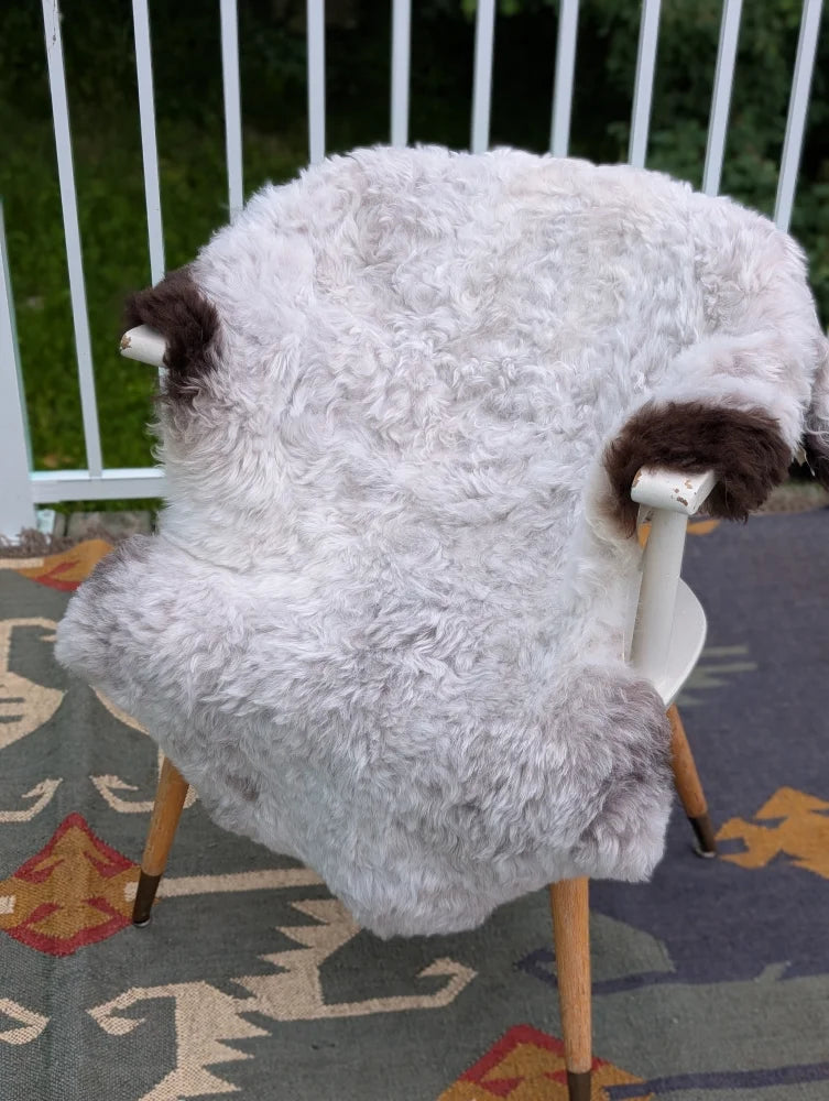 A plush 43 by 35 inch icelandic sheepskin throw with long wool and dark brown patches draped over a chair by angus oliver