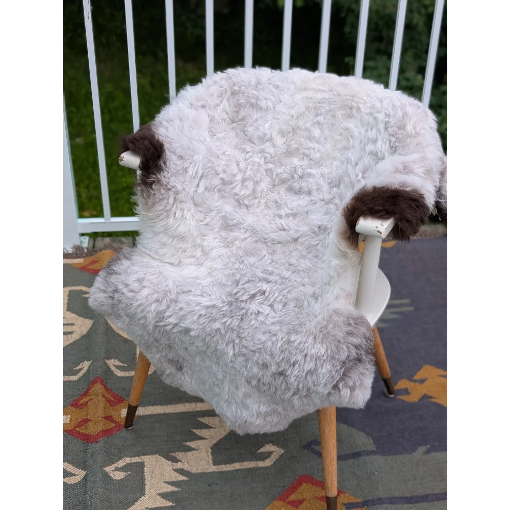 A plush 43 by 35 inch icelandic sheepskin throw with long wool and dark brown patches draped over a chair by angus oliver