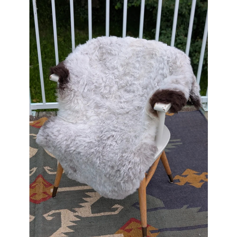 A large white icelandic sheepskin rug with long wool and dark brown ear accents draped over a chair by angus oliver