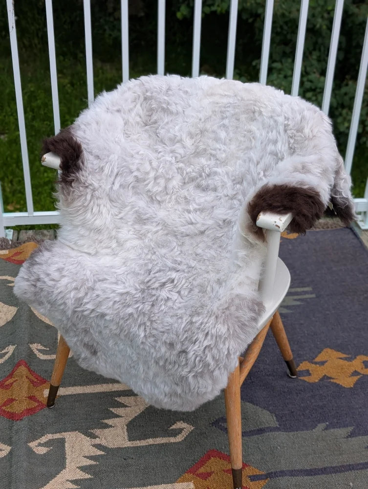A large white icelandic sheepskin rug with long wool and dark brown ear accents draped over a chair by angus oliver