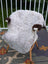 A large white icelandic sheepskin rug with long wool and dark brown ear accents draped over a chair by angus oliver