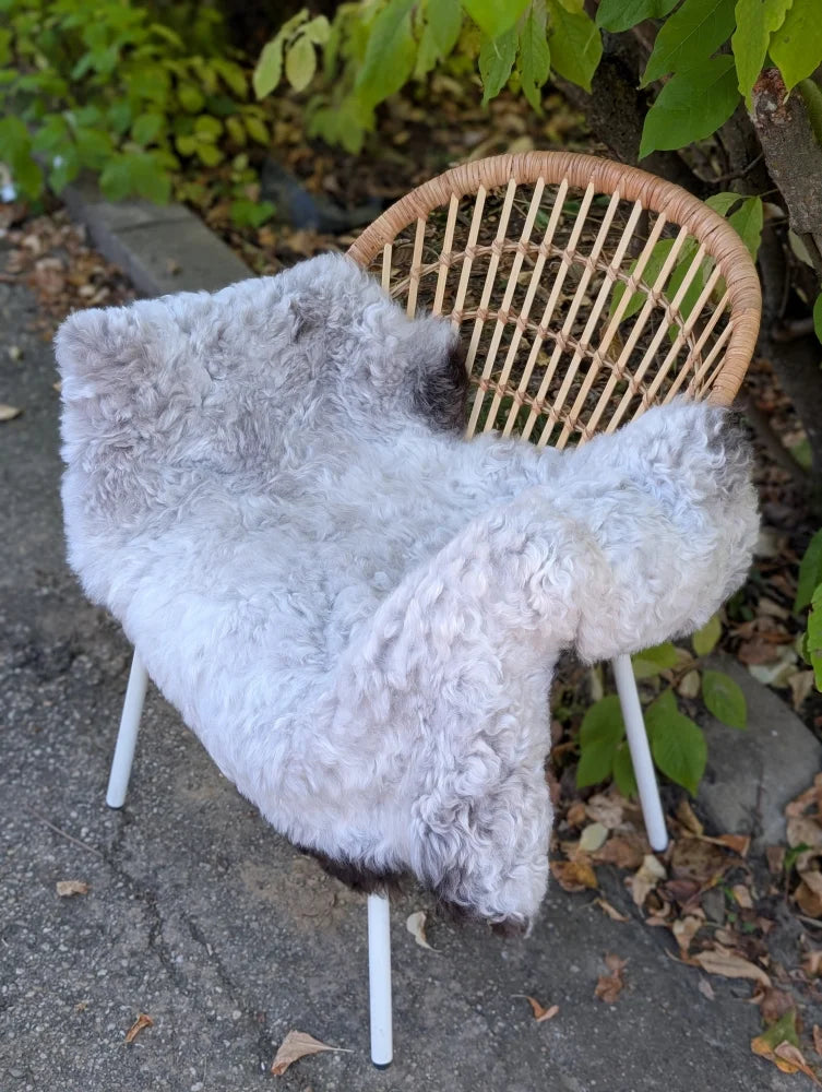 A soft gray wool icelandic sheepskin rug draped over a woven wicker chair with white metal legs