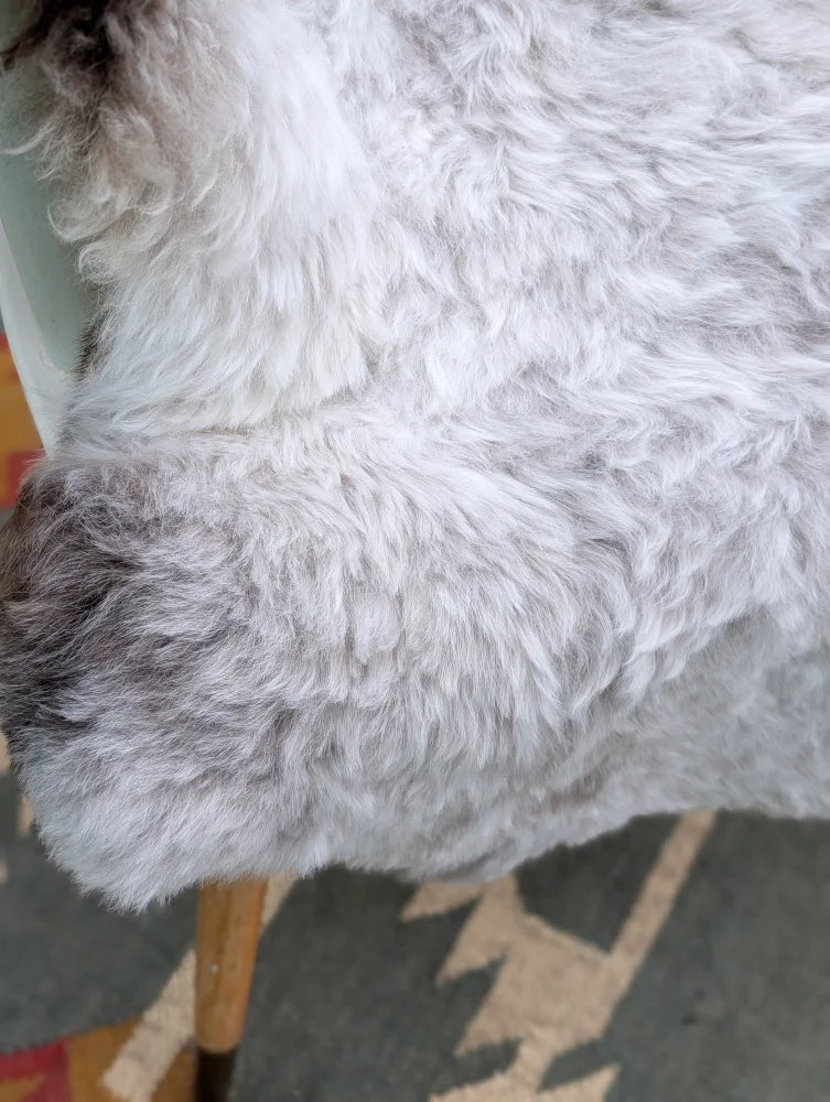 Fluffy white and gray icelandic sheepskin with soft curly long wool from angus oliver in 43 x 35 size