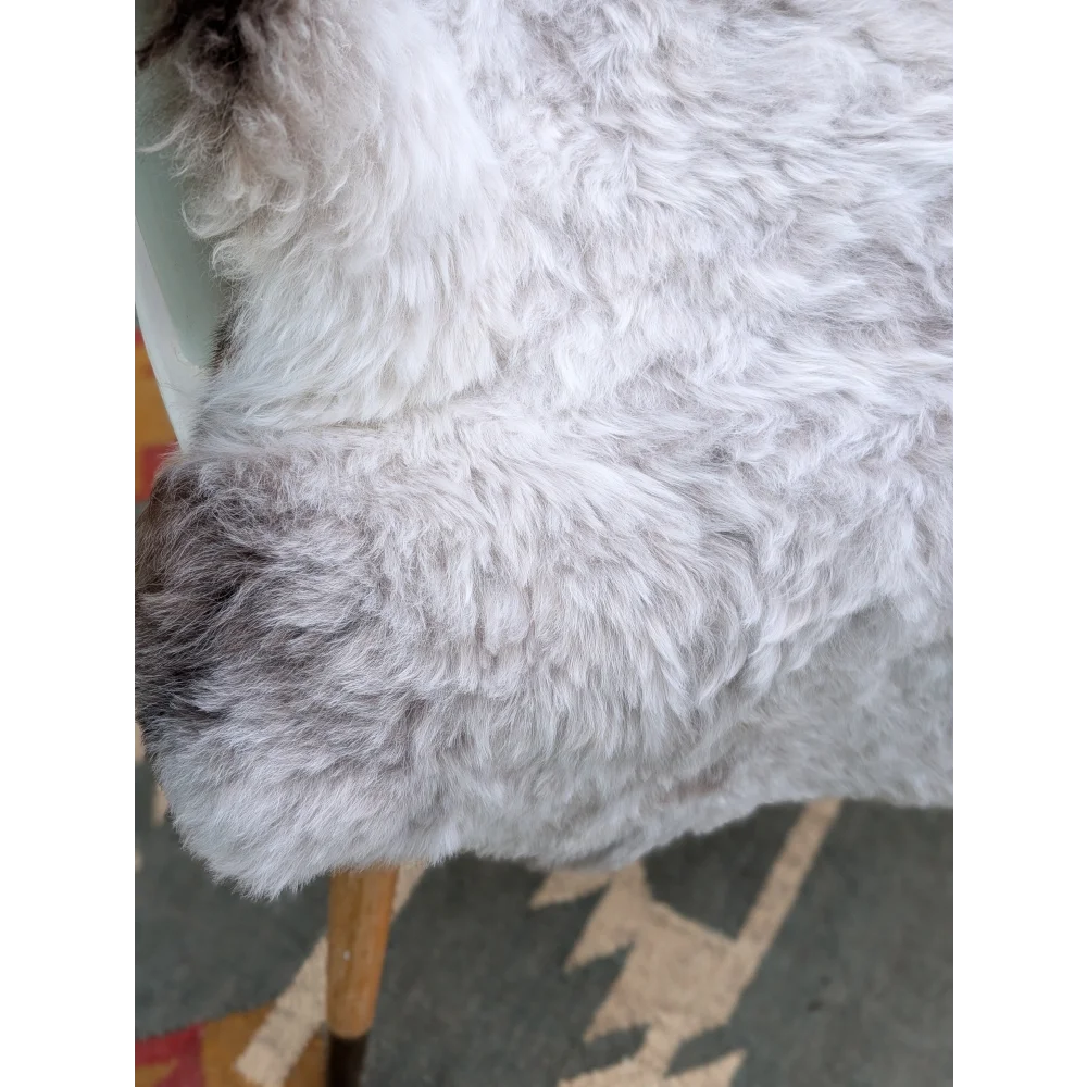 Fluffy white and gray icelandic sheepskin with soft curly long wool from angus oliver in 43 x 35 size