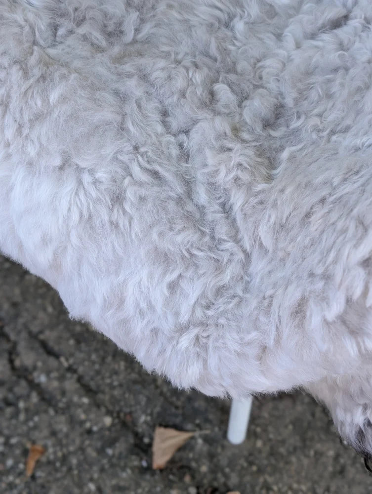 White curly wool icelandic sheepskin chair with long wool icelandic rug cover and white plastic leg