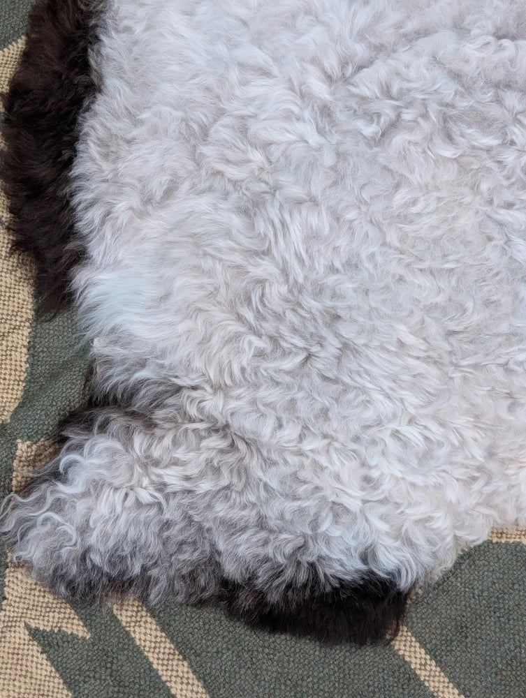 A plush large icelandic sheepskin rug with long wool in white and black by angus oliver measuring 43 x 35 inches