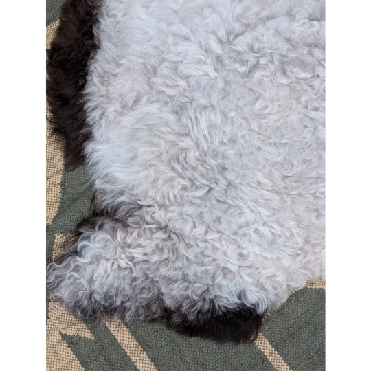 A plush large icelandic sheepskin rug with long wool in white and black by angus oliver measuring 43 x 35 inches