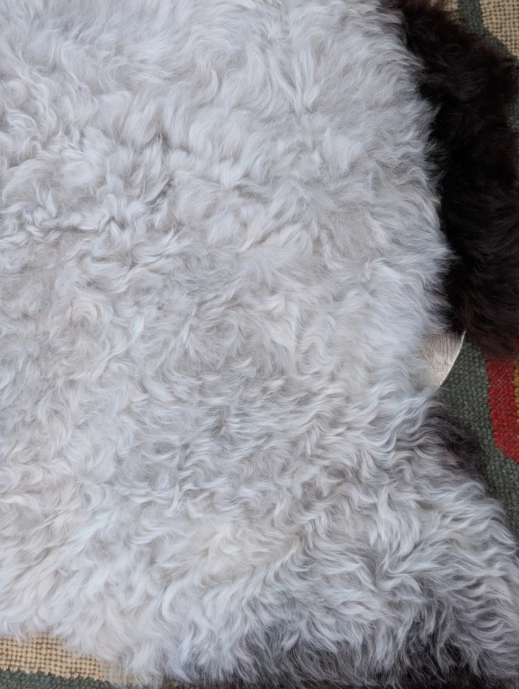 A large 43 by 35 inch soft curly white icelandic sheepskin rug with dark brown edge by angus oliver